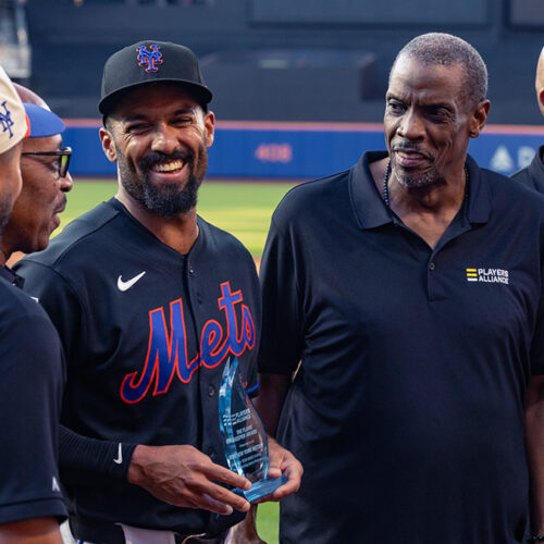 TPA_METS_26-39